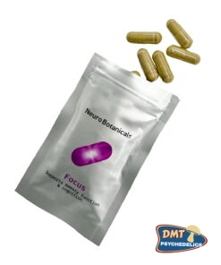 Alternative view of Neuro Botanicals – Focus Microdose Capsules (Pack of Neuro Botanicals – Focus Microdose Capsules (Pack of 10)10)