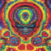 Buy LSD Jammin Skull